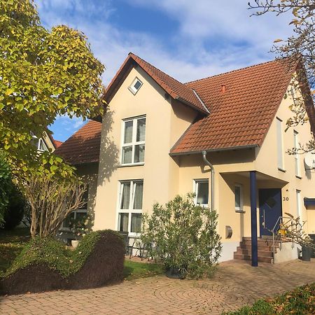 Ferienwohnung Suedpfalz Mit Fernblick Bochingen Buitenkant foto