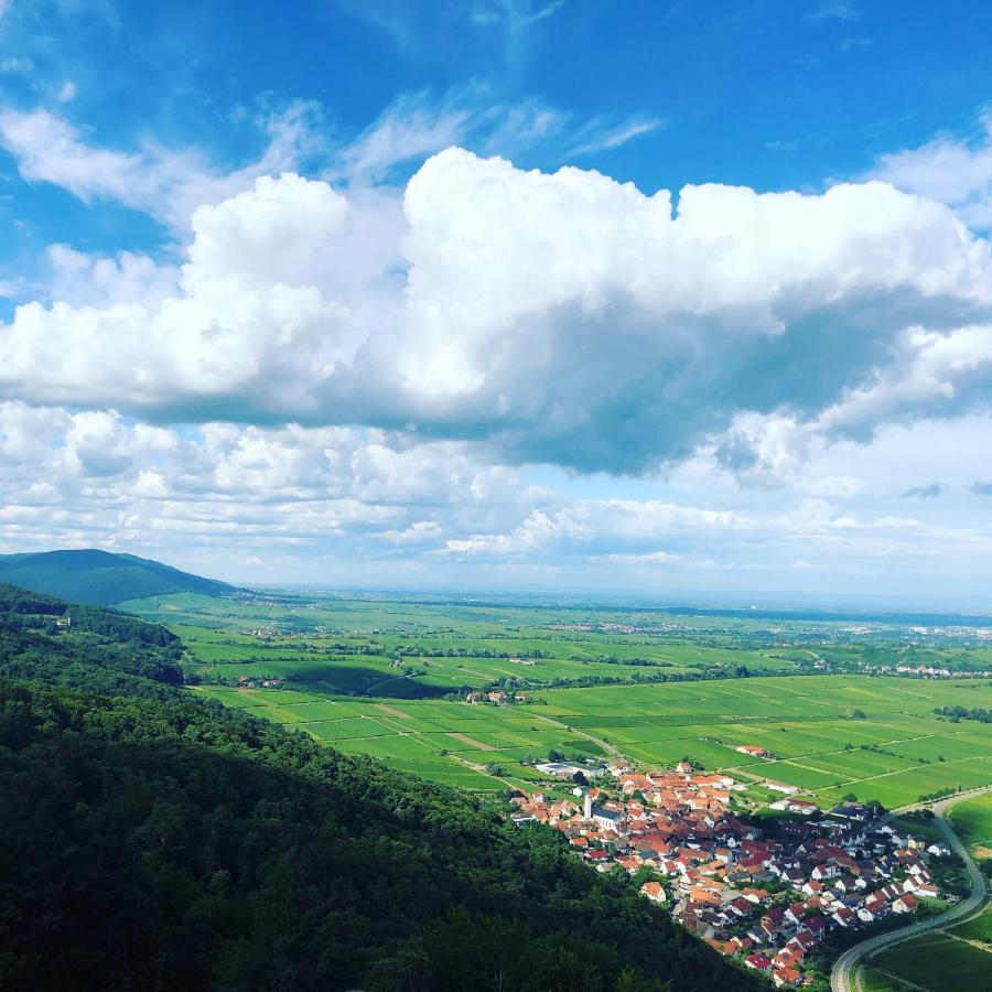 Ferienwohnung Suedpfalz Mit Fernblick Bochingen Buitenkant foto