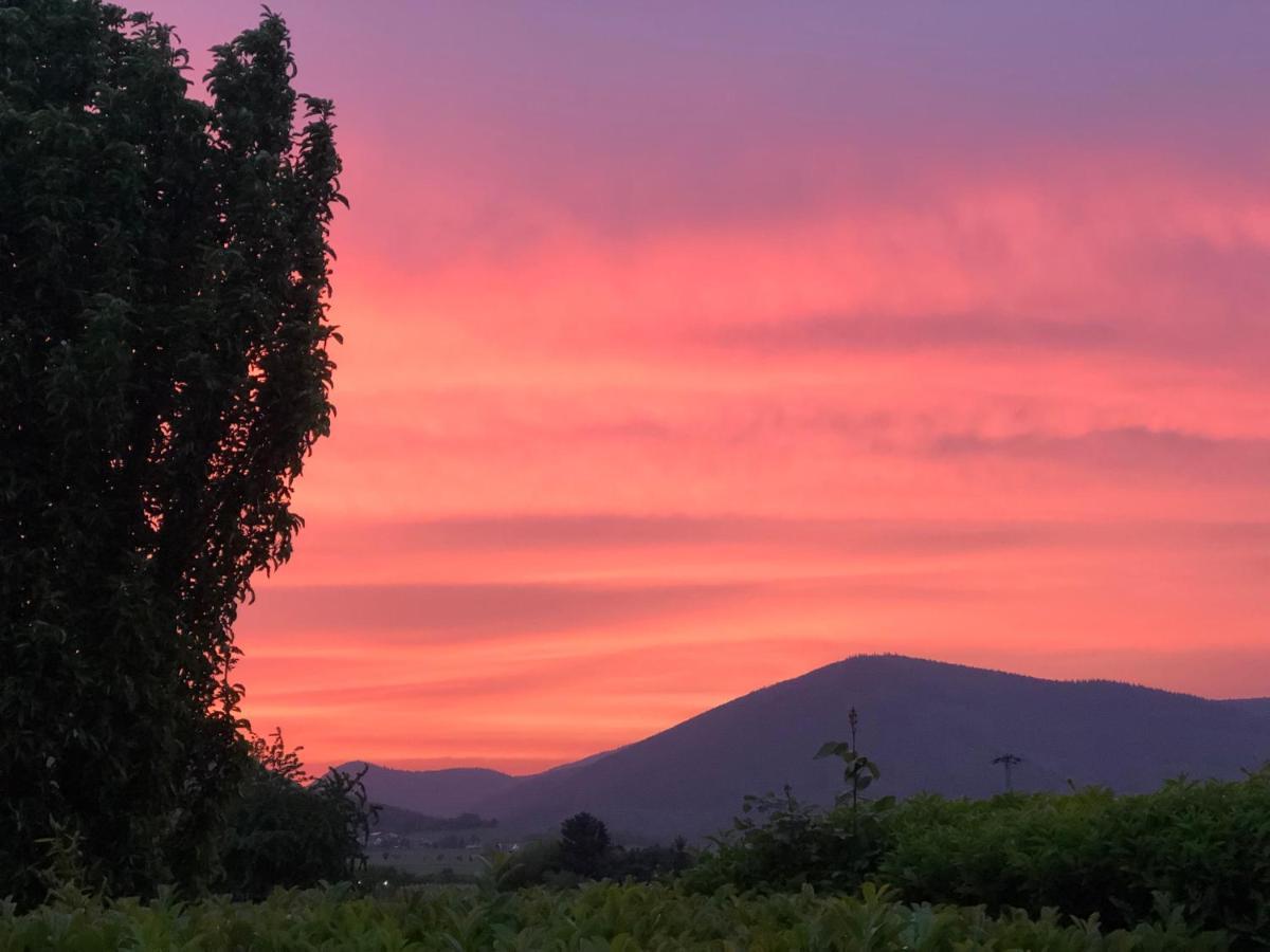 Ferienwohnung Suedpfalz Mit Fernblick Bochingen Buitenkant foto